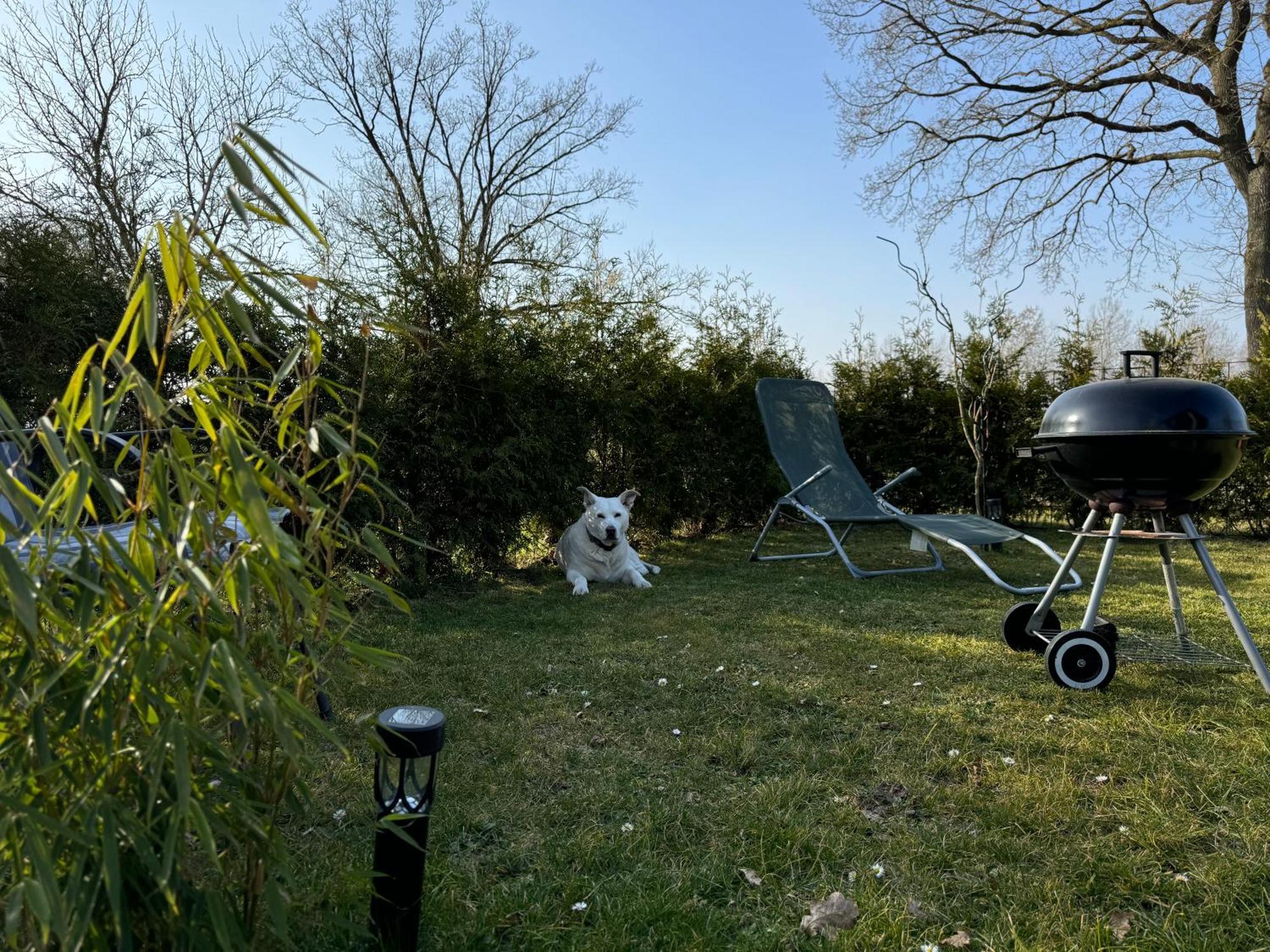 Ferienwohnung Am See Dillich - Ruhige Lage - Eigener Garten - Direkt Neben Einem Natursee Borken (Hessen) Exterior foto