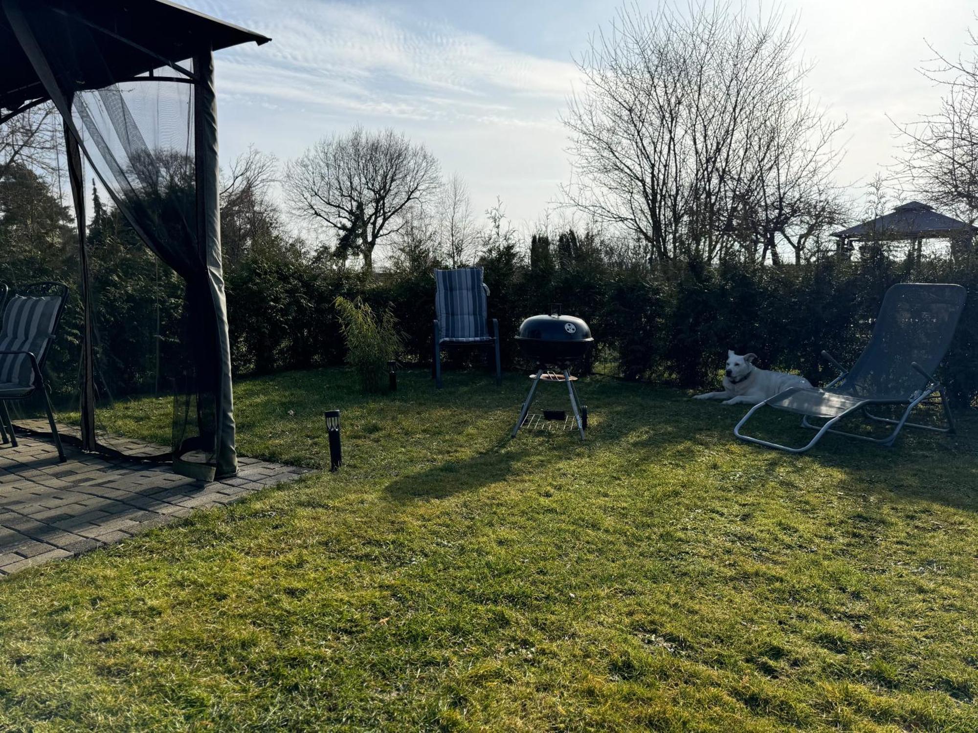 Ferienwohnung Am See Dillich - Ruhige Lage - Eigener Garten - Direkt Neben Einem Natursee Borken (Hessen) Exterior foto