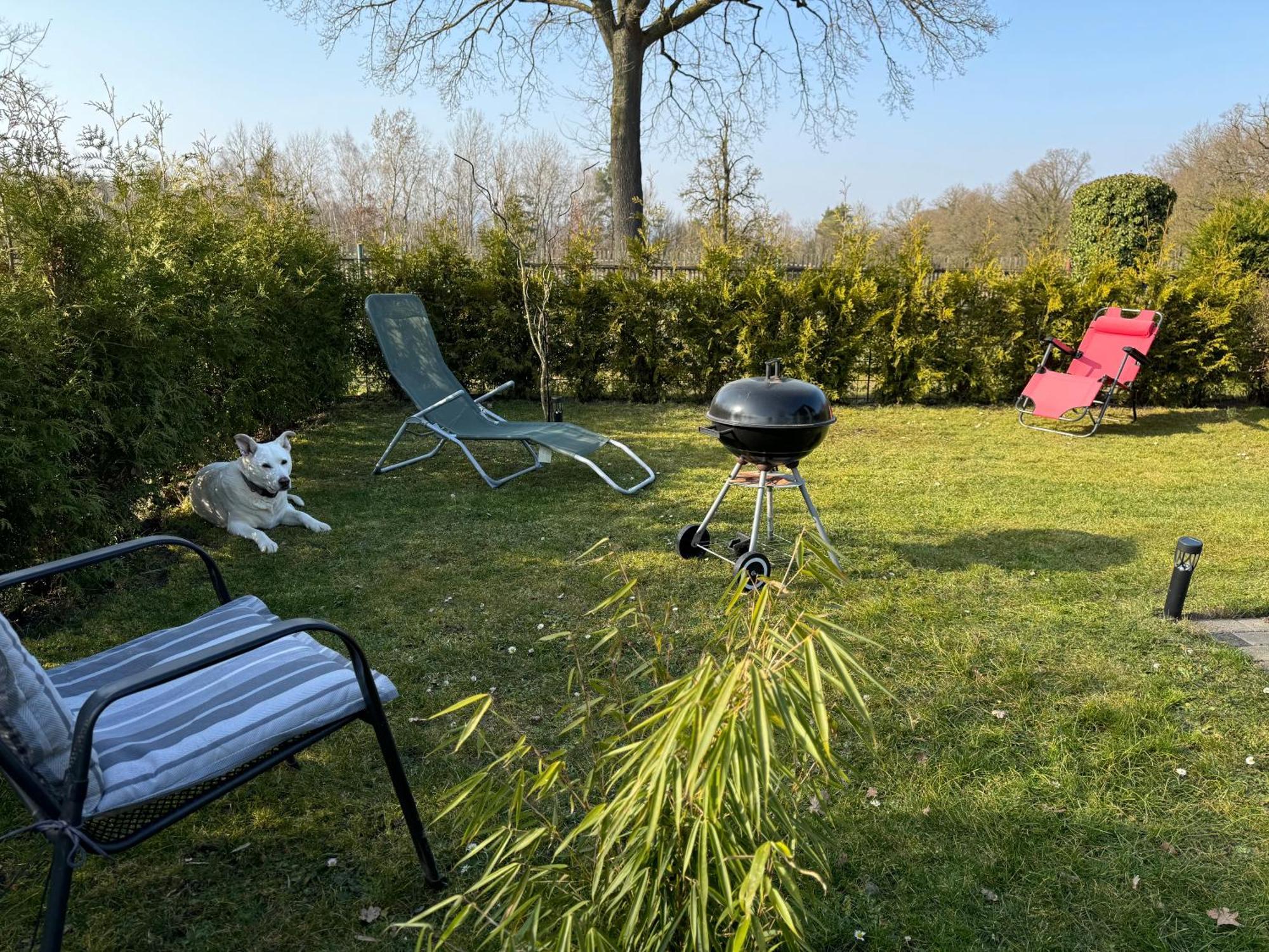 Ferienwohnung Am See Dillich - Ruhige Lage - Eigener Garten - Direkt Neben Einem Natursee Borken (Hessen) Exterior foto