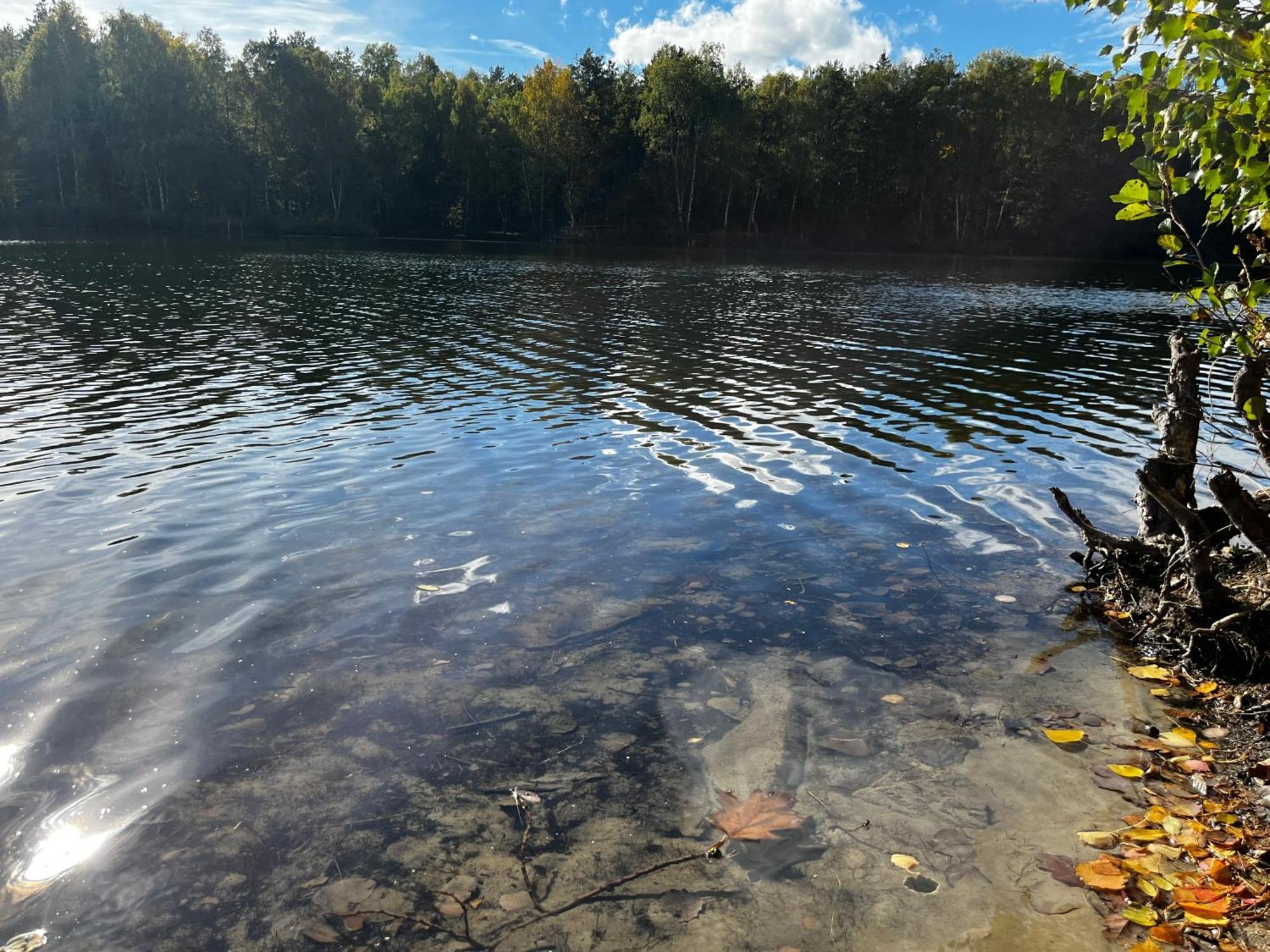 Ferienwohnung Am See Dillich - Ruhige Lage - Eigener Garten - Direkt Neben Einem Natursee Borken (Hessen) Exterior foto
