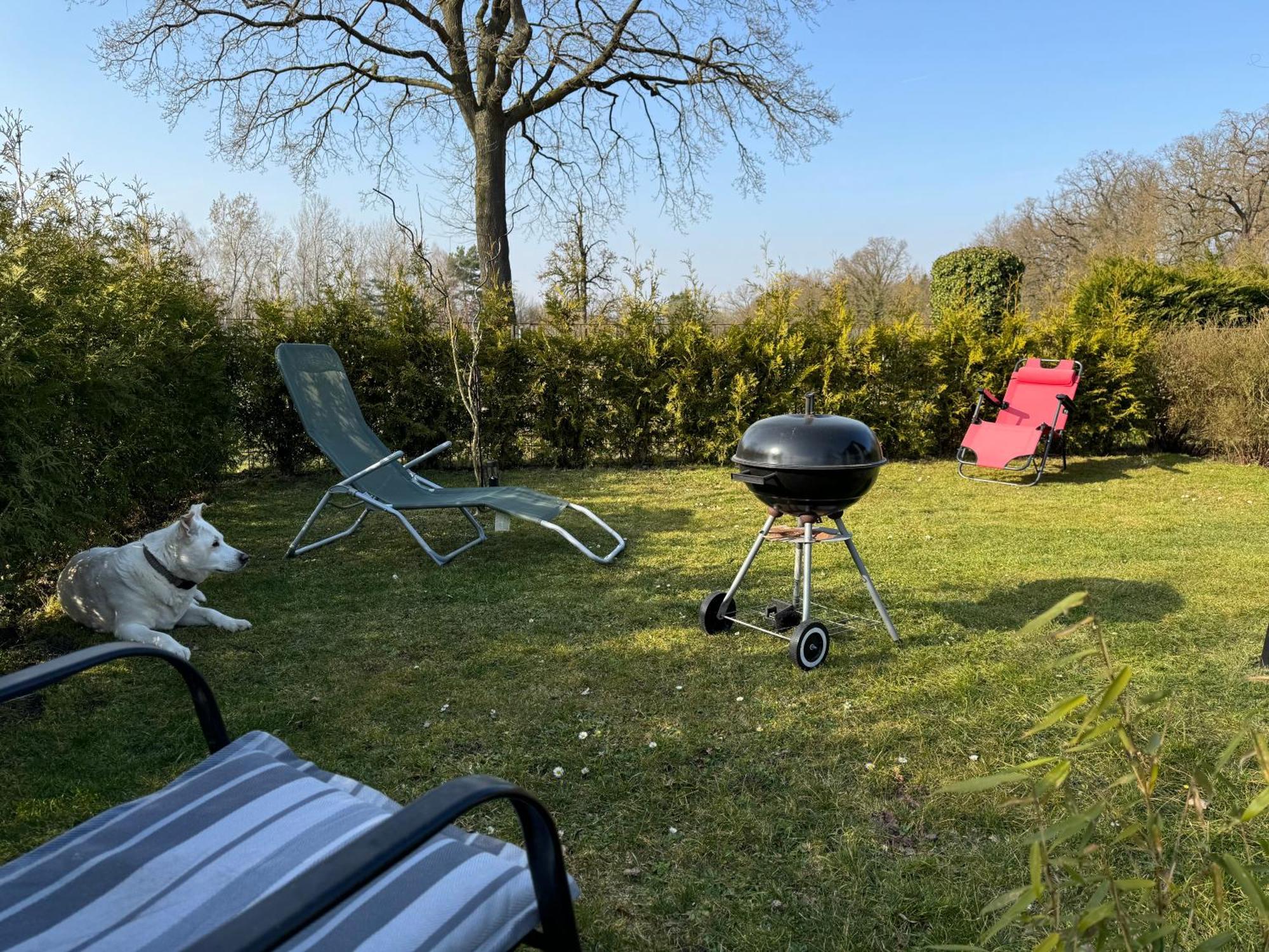 Ferienwohnung Am See Dillich - Ruhige Lage - Eigener Garten - Direkt Neben Einem Natursee Borken (Hessen) Exterior foto